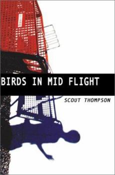 Paperback Birds in Mid Flight Book