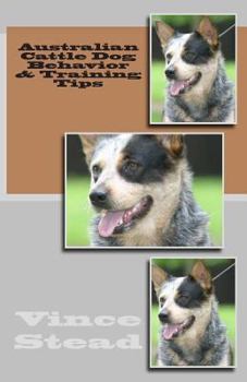 Paperback Australian Cattle Dog Behavior & Training Tips Book