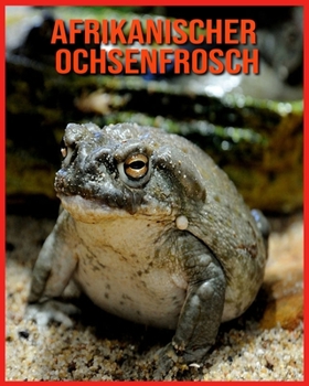 Afrikanischer Ochsenfrosch: Sagenhafte Fotos & Buch mit lustigem Wissen über Afrikanischer Ochsenfrosch für Kinder