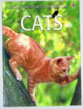 Misc. Supplies Cats Sticker Book (Usborne Spotter's Guides Sticker Books) Book