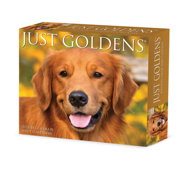 Product Bundle Goldens 2024 6.2 X 5.4 Box Calendar Book