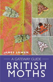 Spiral-bound British Moths: A Gateway Guide Book