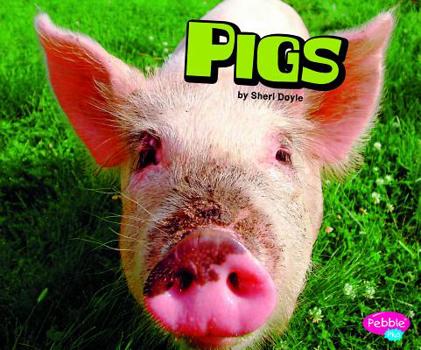 Hardcover Pigs Book