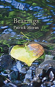 Paperback Bearings Book