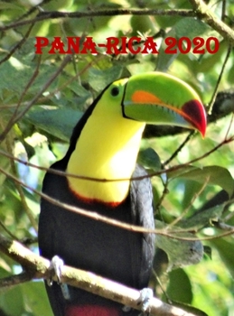 Hardcover Pana-Rica: Panama and Costa Rica Caught Between Two Oceans Book