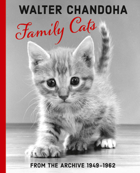 Paperback Walter Chandoha: Family Cats: From the Archive 1949-1962 Book