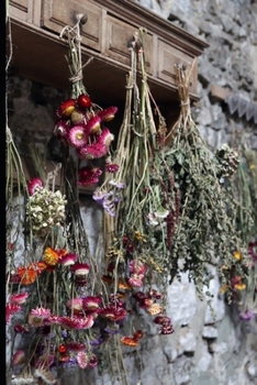 Paperback Dried Flowers in the Cottage Journal: 150 Page Lined Notebook/Diary Book