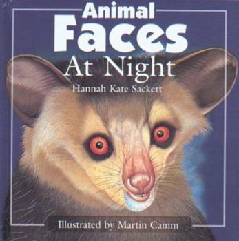 Hardcover Animal Faces at Night Book