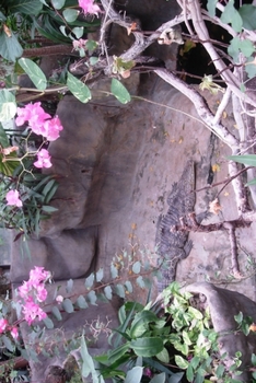 Notebook: Crocodile Notebook, Planners and Diaries to Write in, Blank Dotted, Crocodile Notebooks, 120 Pages : This Notebook Belongs to ... Who Feed the Crocodiles in the Hope That He/She Will Eat The