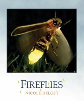 Fireflies - Book  of the Bugbooks