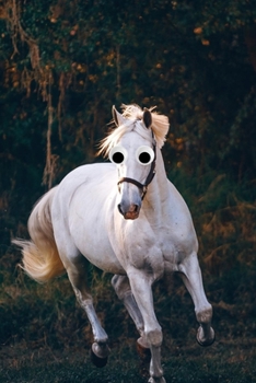 Google Eye Horse Journal: 100-page blank lined journal featuring a photo of a white horse with googly eyes