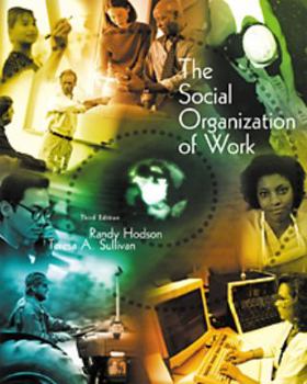 Paperback The Social Organization of Work 3rd Edition Book