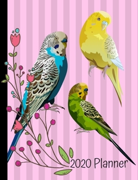 Paperback 2020 Planner: Parakeet Birds Pink 2020 Monthly Planner Organizer Undated Calendar And ToDo List Tracker Notebook Book