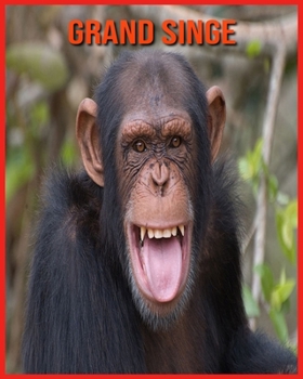 Grand Singe: Informations Amusantes & Belles Images