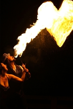 Paperback Fire Works Book