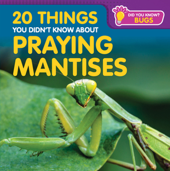 20 Things You Didn't Know about Praying Mantises