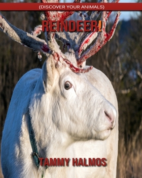 Reindeer! (Discover Your Animals)