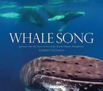 Hardcover Whale Song: Journeys Into the Secret Lives of the North Atlantic Humpbacks Book