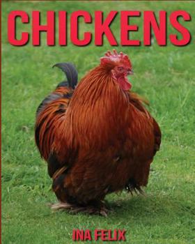 Paperback Chickens: Children Book of Fun Facts & Amazing Photos on Animals in Nature - A Wonderful Chickens Book for Kids aged 3-7 Book