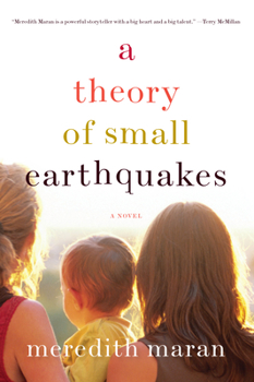 Paperback A Theory of Small Earthquakes Book