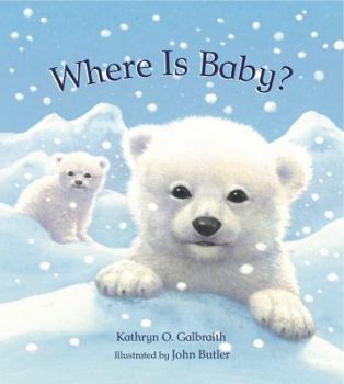 Hardcover Where Is Baby? Book