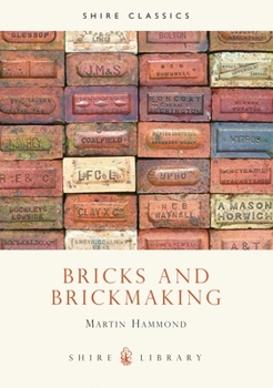 Paperback Bricks and Brickmaking Book