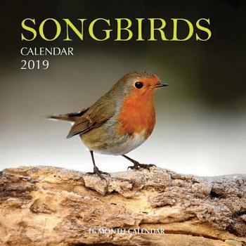 Paperback Songbirds Calendar 2019: 16 Month Calendar Book