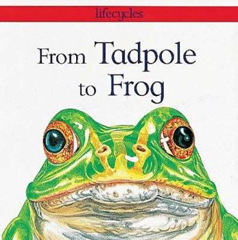 From Tadpole to Frog