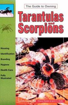 Paperback Tarantulas and Scorpions Real Book