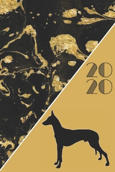 2020: 2020 Sunday Start Monthly Calendar and Organizer | Pharaoh Hound Gift for Women