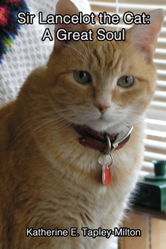 Paperback Sir Lancelot the Cat: A Great Soul Book