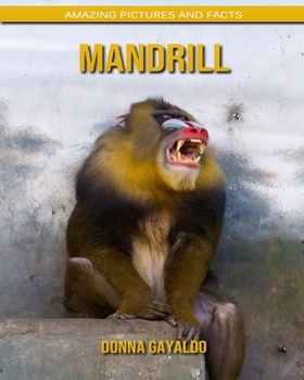 Mandrill: Amazing Pictures and Facts