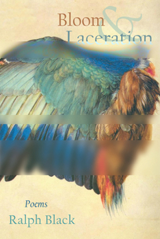 Paperback Bloom and Laceration: Poems Book