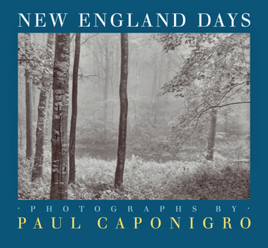 Hardcover New England Days Book