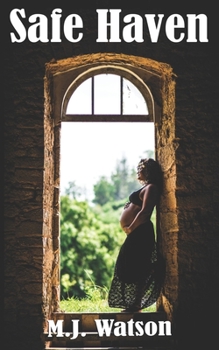 Paperback Safe Haven Book