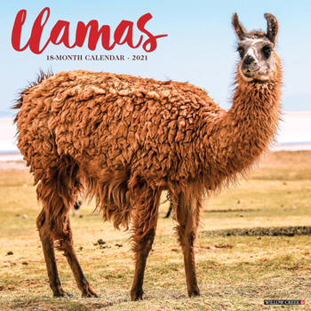 Llamas 2021 Wall Calendar