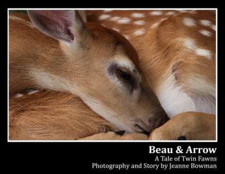 Beau and Arrow: A Tale of Twin Fawns