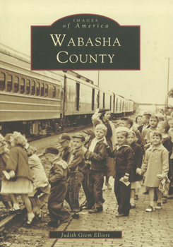 Paperback Wabasha County Book