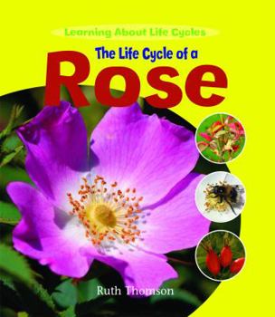 Library Binding The Life Cycle of a Rose Book