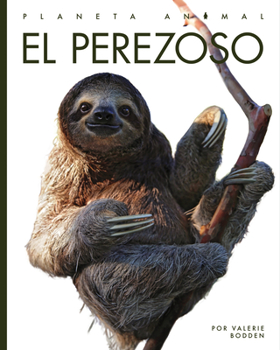 Paperback El Perezoso Book