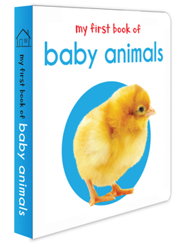 Board book My First Book of Baby Animals Book