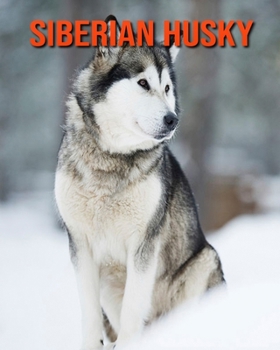 Siberian Husky: Amazing Facts about Siberian Husky