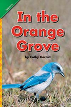 Paperback Reading 2008 Concept Literacy Leveled Readers 6 Pack Grade K Unit 2 Week 2 Book