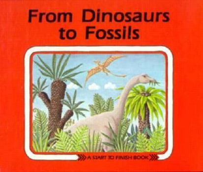 Hardcover From Dinosaurs to Fossils Book