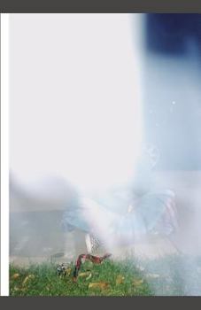 Paperback Everything I Wrote for You Book