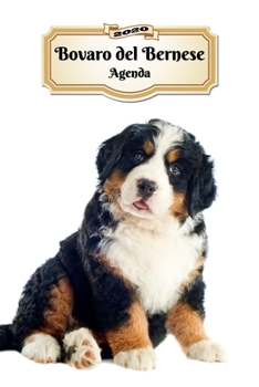 Paperback 2020 Bovaro del Bernese Agenda: 107 Pagine - Dimensioni DIN A5 - Pianificatore Settimanale - 12 Mesi - Due Pagine Per Settimana - Calendario - Diario [Italian] Book