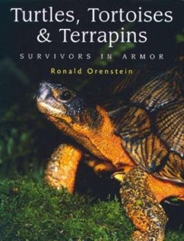 Hardcover Turtles, Tortoises and Terrapins: Survivors in Armor Book