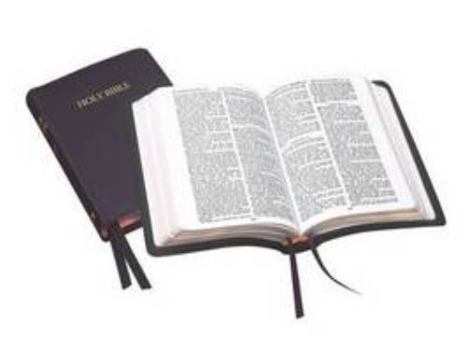 Holy Bible: Calfskin Royal Ruby - Authorised (King James) Version