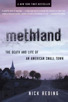 Paperback Methland: The Death and Life of an American Small Town Book