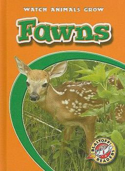 Fawns - Book  of the Watch Animals Grow